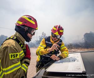 Tragiczna sytuacja pożarowa w Grecji. Na pomoc ruszyli strażacy z Krakowa