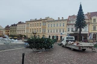  Trwa montaż choinki w Rzeszowie