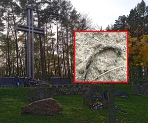 Znaleziono szczątki na zielonogórskim cmentarzu
