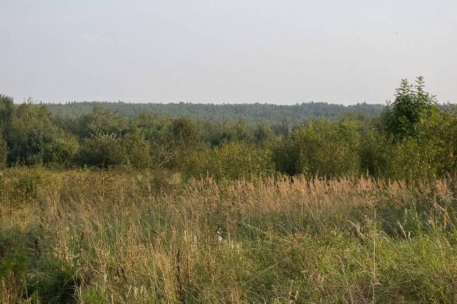 Góra Altana - najwyższy szczyt Mazowsza