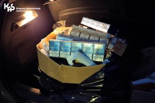 Niezawodna Czira w akcji. Czworonożny celnik ujawnił kontrabandę