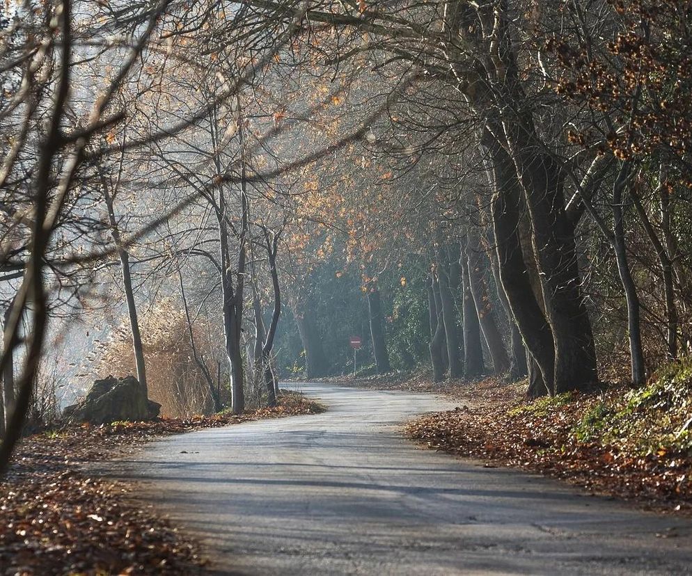 Wkrótce na lubelskich drogach zrobi się tłoczno. Zbliża dzień Wszystkich Świętych