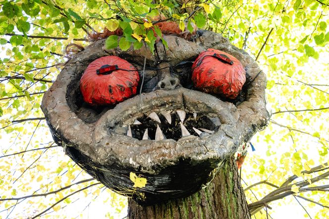 Willa na Jaśkowej Dolinie w Gdańsku