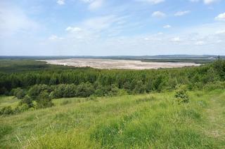 Największa pustynia w Polsce leży w Małopolsce. Odwiedza ją tysiące turystów [GALERIA]