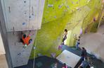 Zawody wspinaczkowe w Sosnowcu