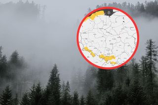 Gęsta mgła nadciąga nad Pomorze. IMGW wydało żółte alerty. Zobacz mapę! 