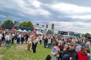 Zobacz, jaką strefę zorganizowano wokół stadionu, przed koncertem Dawida Podsiadło