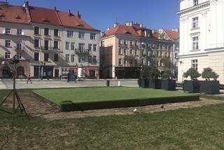 Trawnik wokół dziurelli uwolniony. Zniknął płot wokół zabytku z Głównego Rynku w Kaliszu