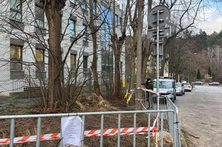 Sopot. Dziki urodziły się obok parkingu. Maciora i warchlaki przy Centrum Opieki Geriatrycznej