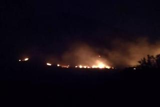 Posągi z Wyspy Wielkanocnej uszkodzone w pożarze