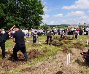 Mistrzostwa w kopaniu grobów na czas w Targach Kielce