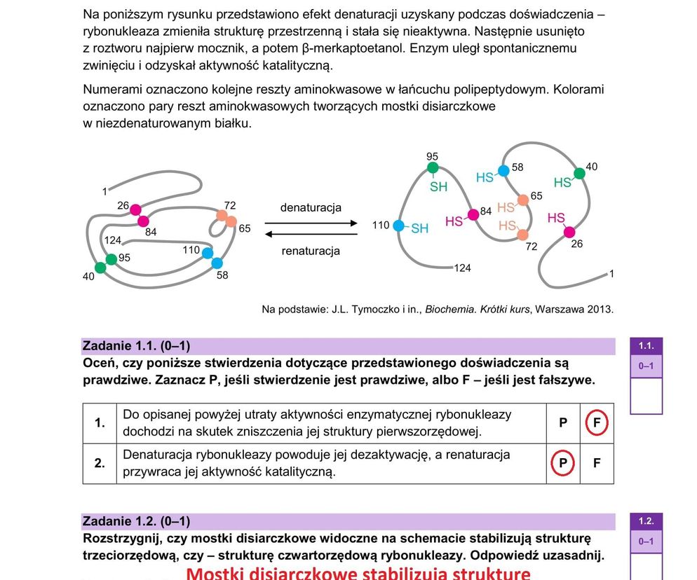 Matura 2025 biologia rozszerzona: ODPOWIEDZI do wszystkich zadań, gotowe rozwiązania matury z biologii rozszerzonej [9.05.2025]	