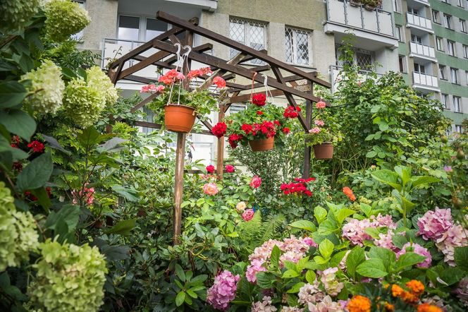 Finał 41. edycji konkursu „Warszawa w kwiatach” w kategorii Ogrody i ogródki przy budynkach jednorodzinnych i wielorodzinnych oraz działki kwietne w ROD