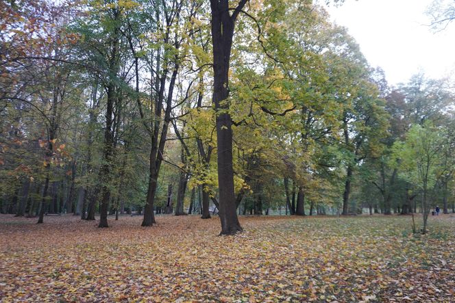 Park Lubomirskich w Białymstoku jesienią 