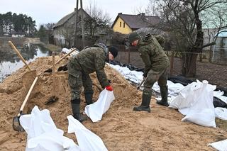 Powódź pod Wyszkowem. Wojsko pomaga zagrożonym gospodarstwom