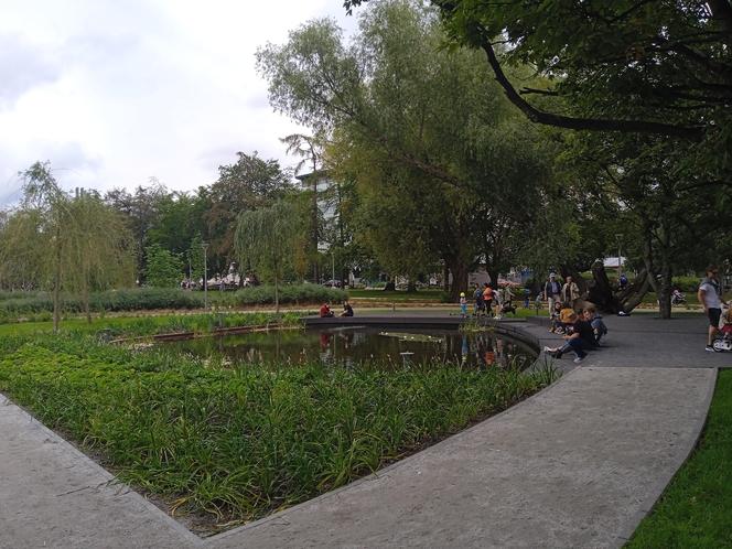 Park centralny w Gdyni. Atrakcje dla dzieci i dorosłych