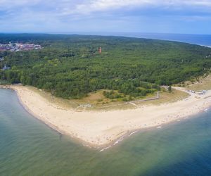 Pod inwestycję wytną na Helu setki drzew. Mieszkańcy przeciwni, władze chętne