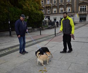 Wielki marsz adopciaków w Radomiu