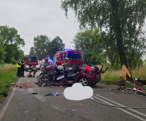 Makabryczny wypadek pod Szczecinem. Rozpędzone auto uderzyło w drzewo. Jedna osoba nie żyje, dwie są ranne