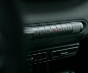 BYD DOLPHIN SURF