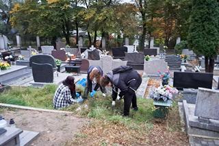 Harcerska akcja Ocalić Od Zapomnienia na cmentarzach powiatu iławskiego