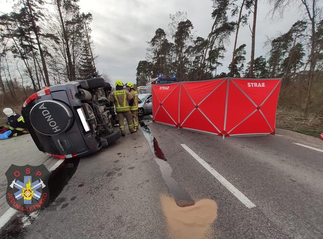 Potworne zderzenie pod Radomiem! Kierowca opla zginął w makabrycznym wypadku [ZDJĘCIA]