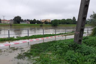 Przemyśl: San zalał ogródki działkowe i ścieżki rowerowe