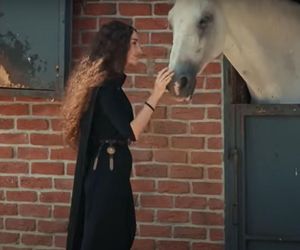 Emanet. Nieproszony gość w stadninie 