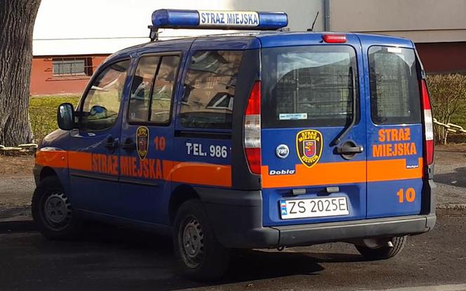 Skandal w toruńskiej straży miejskiej - odmówili pomocy bezdomnemu