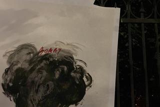 Zniszczona wystawa prac Julii Mirny