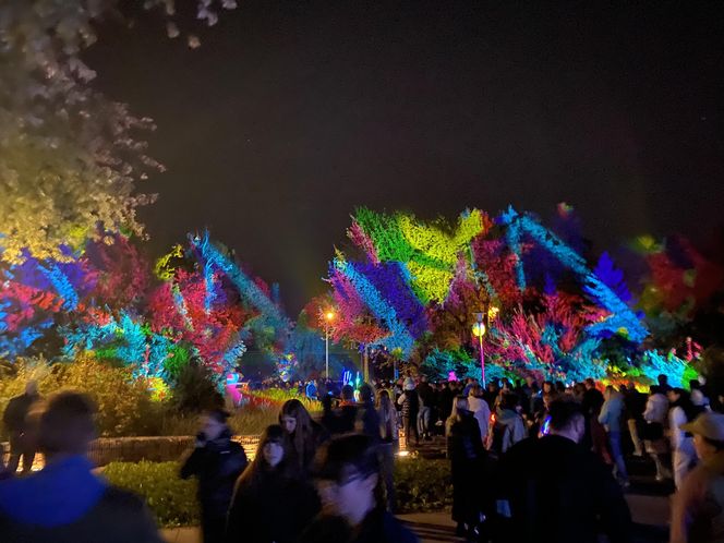 Light Move Festival 2025