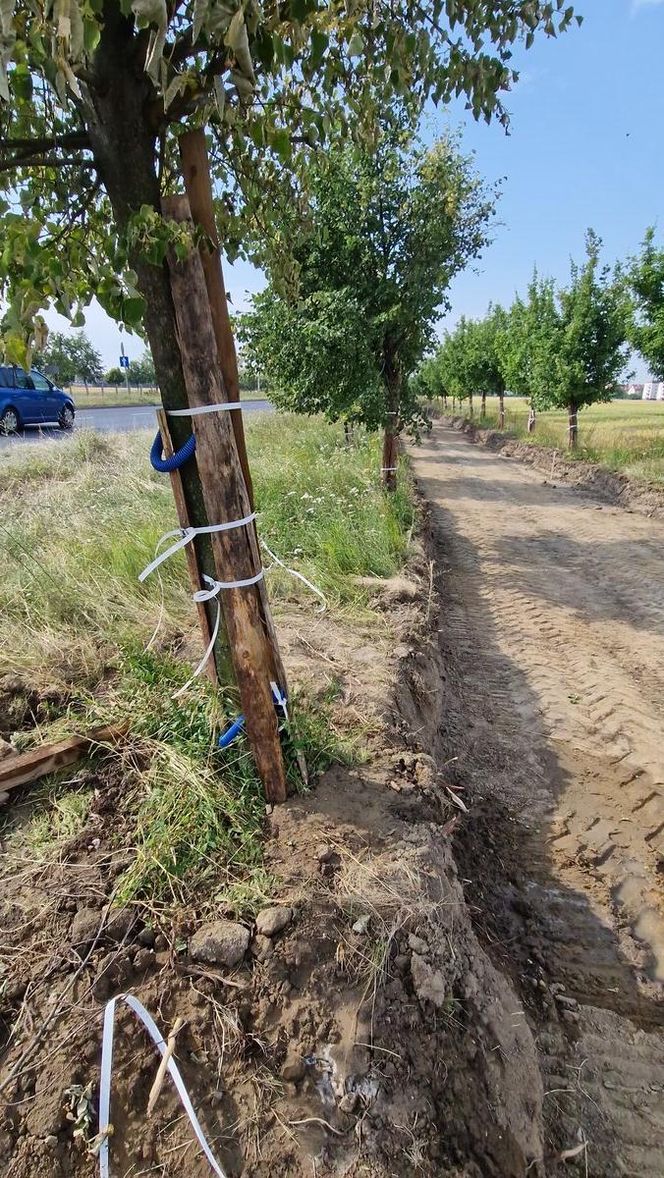 Budowa ścieżki rowerowej wzdłuż Alei Konstytucji 3 Maja