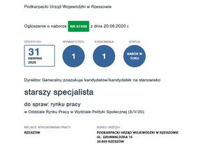 Praca w urzędzie w Rzeszowie. Ile można zarobić? Sprawdź oferty!