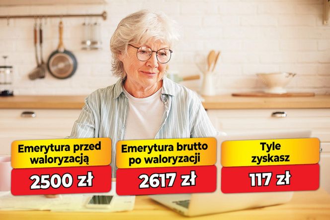 Waloryzacja emerytur 4,69