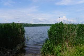 Jezioro Swarzędzkie