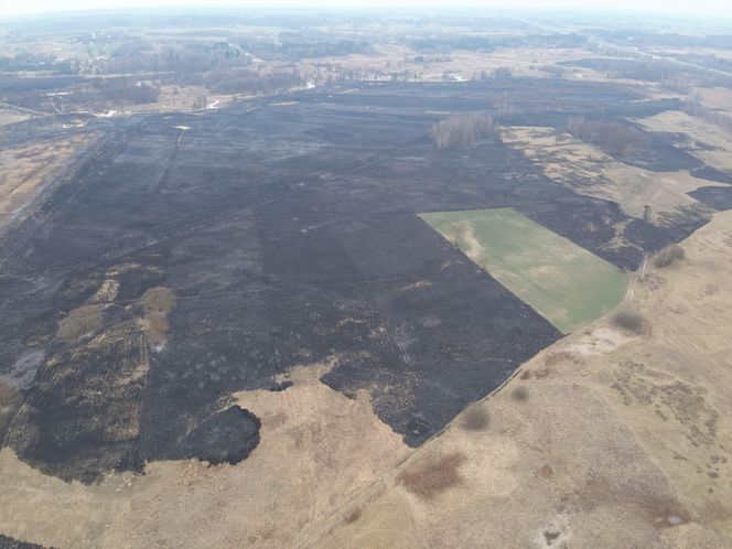 Mazowsze płonie. Ponad 300 pożarów w dwa dni. Strażacy biją na alarm!