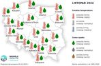 Pogoda długoterminowa IMGW na zimę 2024/2025