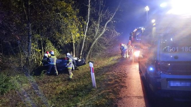 Śmiertelny wypadek pod Bełchatowem. 29-latka uderzyła audi w drzewo [ZDJĘCIA]