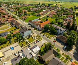 Poznasz podkarpackie miasta po herbie? Quiz dla prawdziwych znawców województwa podkarpackiego 