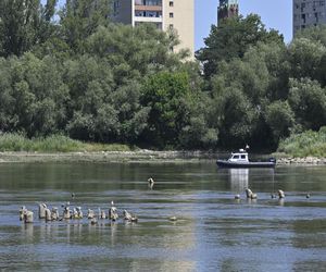 Niski stan wody w Wiśle