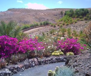 Fuerteventura