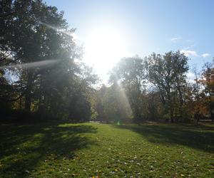 Park Wilsona jesienią