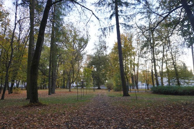 Park Lubomirskich w Białymstoku jesienią 