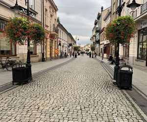 Można już przeglądać i się zastanawiać.  Głosowanie za kilka dni!