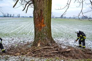 21-latka zginęła w strasznym wypadku