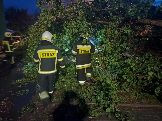 Płock. Kolejna nawałnica! Tysiąc zgłoszeń z powiatu! 500 z miasta! Widok jak po apokalipsie [ZDJĘCIA]