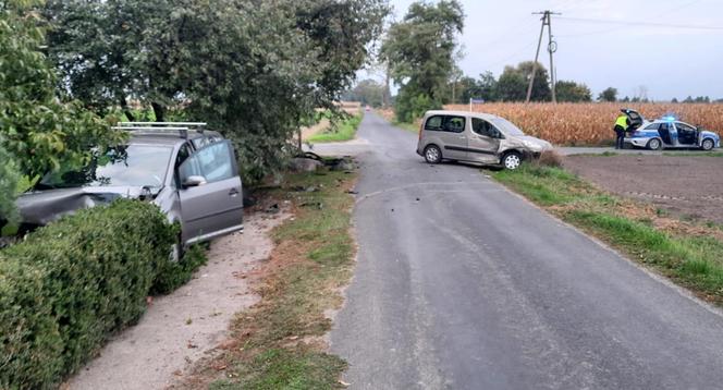 Pijany kierowca spowodował kolizję. Auto ofiary wylądowało na żywopłocie