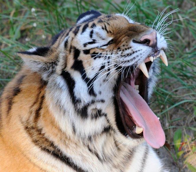 Zoo w Eberswalde