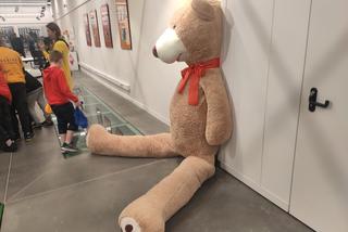 Wernisaż wystawy „Dziecko też człowiek. I radomianin.”