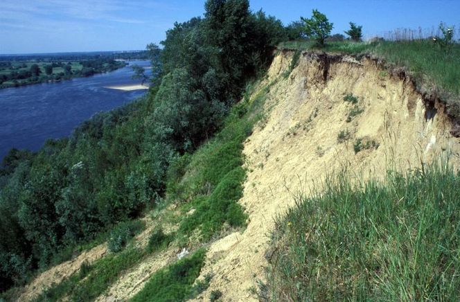 W Kujawkso-Pomorskiem są takie góry, które sam czart usypał. Tak przynajmniej mówi jedna z legend dotyczących Diabelców 